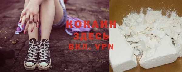 прущий лед Алзамай