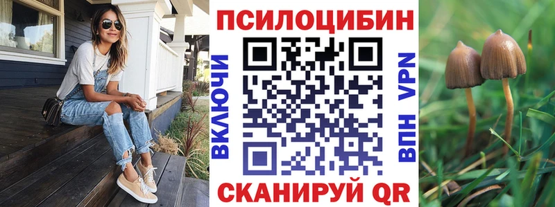 Псилоцибиновые грибы Magic Shrooms даркнет сайт Кириллов